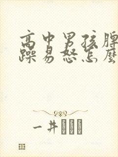 高中男孩脾气暴躁易怒怎么办