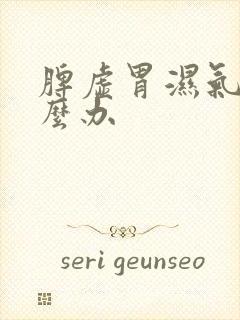 脾虚胃湿气重怎么办