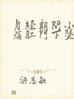 月经期间小腹坠痛肛门下坠感