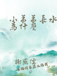 小弟弟长水泡是为什么