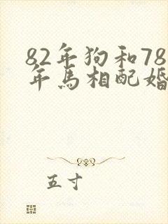 82年狗和78年马相配婚姻如何