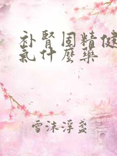 补肾固精健脾益气什么药