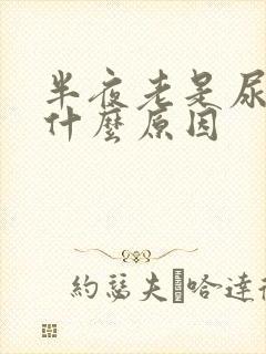 半夜老是尿频是什么原因