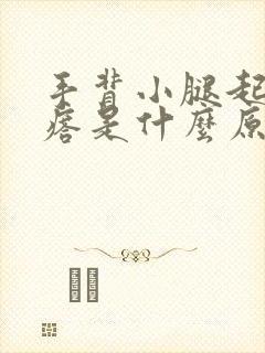 手背小腿起小疙瘩是什么原因