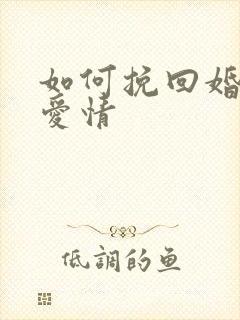 如何挽回婚姻和爱情