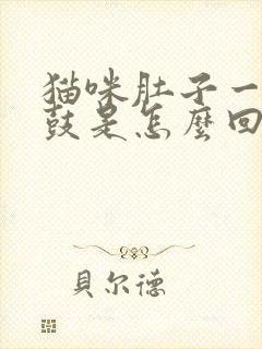 猫咪肚子一边很鼓是怎么回事