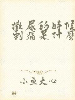 撒尿的时候尿道刺痛是什么原因