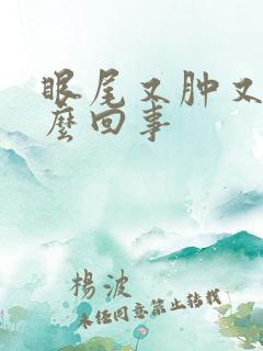 眼尾又肿又痒怎么回事