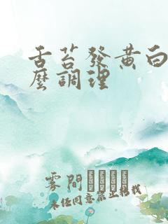 舌苔发黄白厚怎么调理