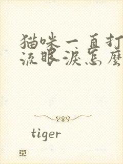 猫咪一直打喷嚏流眼泪怎么办