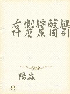 右侧腰酸腿酸是什么原因引起的