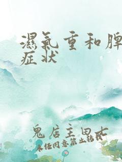 湿气重和脾胃的症状