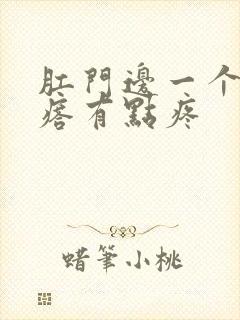 肛门边一个小疙瘩有点疼