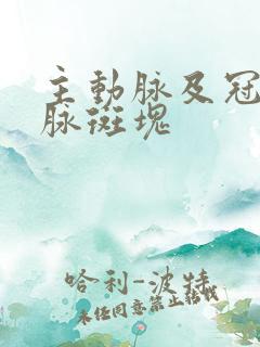 主动脉及冠状动脉斑块