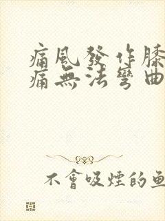 痛风发作膝盖肿痛无法弯曲伸直