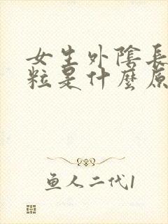 女生外阴长小肉粒是什么原因