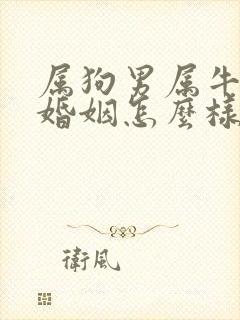 属狗男属牛女的婚姻怎么样