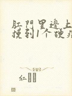 肛门里边上肉里摸到1个硬疙瘩