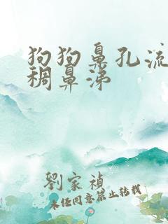 狗狗鼻孔流黄粘稠鼻涕