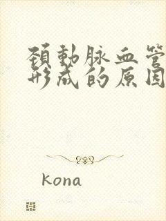 颈动脉血管斑块形成的原因