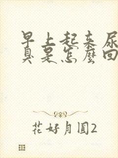 早上起来尿黄尿臭是怎么回事