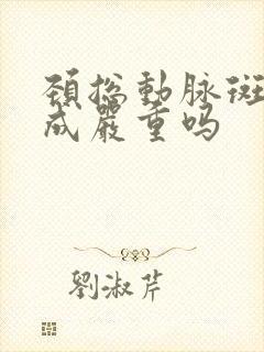 颈总动脉斑块形成严重吗