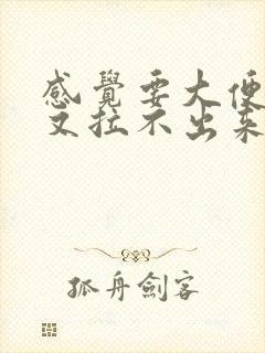 感觉要大便可是又拉不出来怎么回事