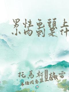 男性龟头上面有小肉刺是什么