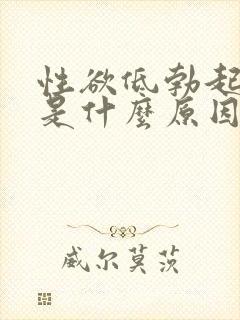 性欲低勃起不坚是什么原因