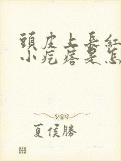 头皮上长红色的小疙瘩是怎么回事