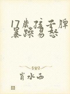 17岁孩子脾气暴躁易怒