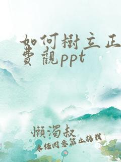 如何树立正确消费观ppt