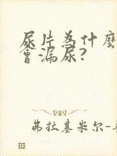 尿片为什么总是会漏尿?