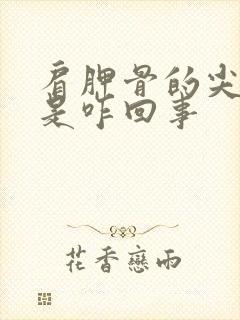 肩胛骨的尖尖疼是咋回事