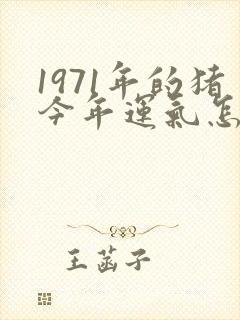 1971年的猪今年运气怎么样