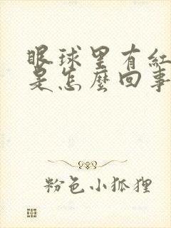 眼球里有红血丝是怎么回事儿