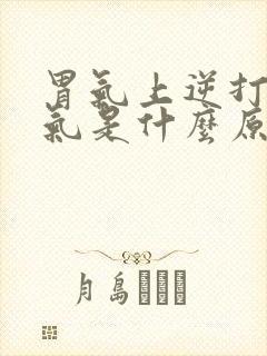 胃气上逆打嗝嗳气是什么原因造成的