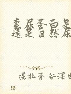 查尿蛋白是晨尿还是自然尿