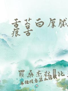 舌苔白厚腻有齿痕舌