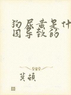 狗尿黄是什么原因导致的