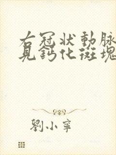 右冠状动脉近段见钙化斑块