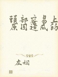 头部容易上火啥原因造成的