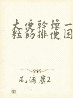 大便干燥一粒一粒的排便困难