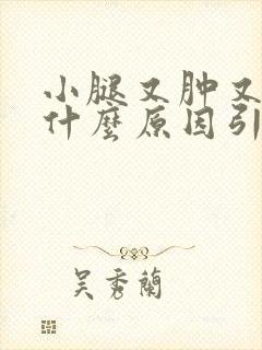 小腿又肿又痒是什么原因引起的