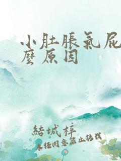 小肚胀气屁多什么原因