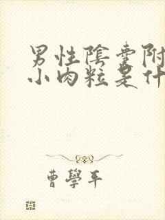 男性阴囊附近长小肉粒是什么原因