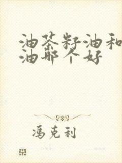 油茶籽油和山茶油哪个好