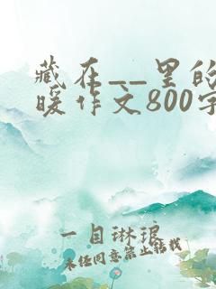 藏在__里的温暖作文800字