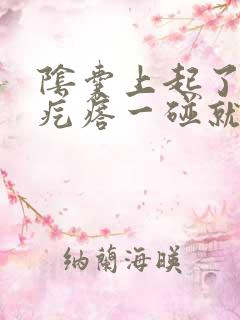 阴囊上起了一个疙瘩一碰就疼