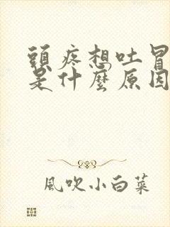 头疼想吐冒虚汗是什么原因